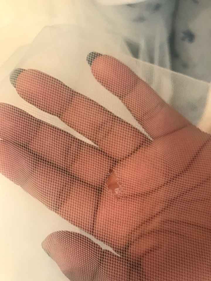 Vengo a contarles una triste historia😢 - 1