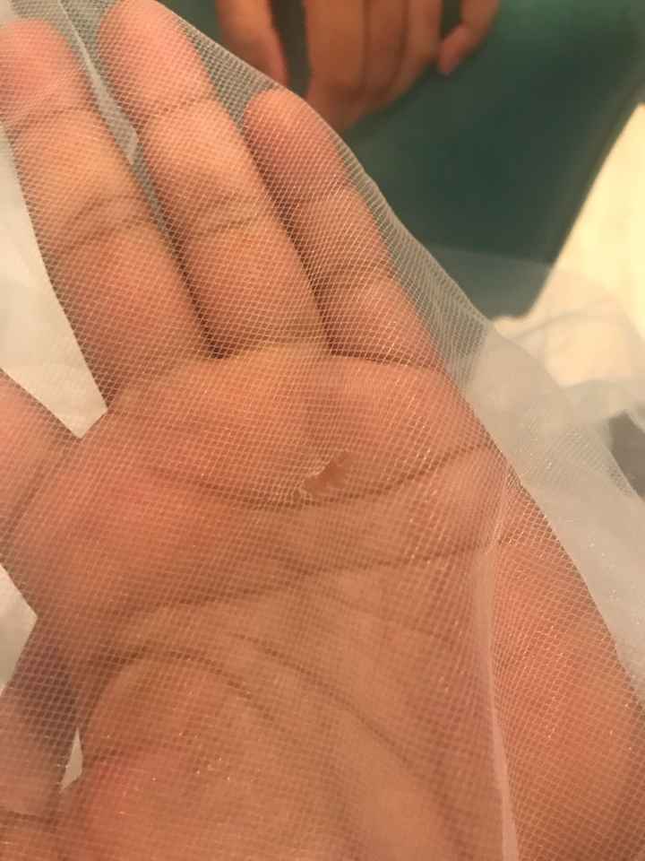 Vengo a contarles una triste historia😢 - 2