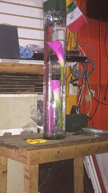 Centros de mesa altos con cilindros de vidrio - 3