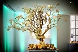 Arbol de los deseos 