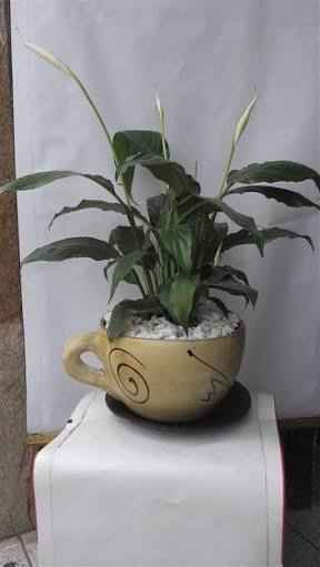 Arreglos de mesa - 1