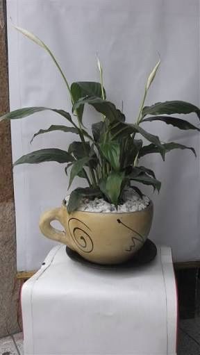 Arreglos de mesa - 1