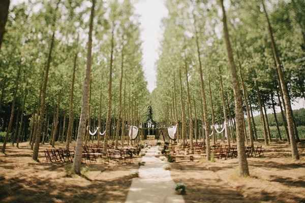 Una boda vintege en medio de un hermoso bosque