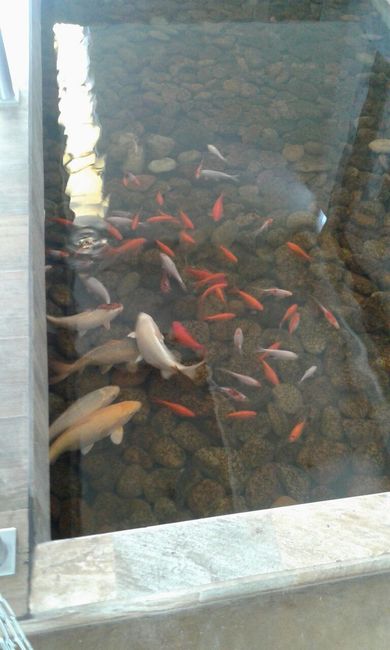 Salon listo!! el rincon, me encanta - 4