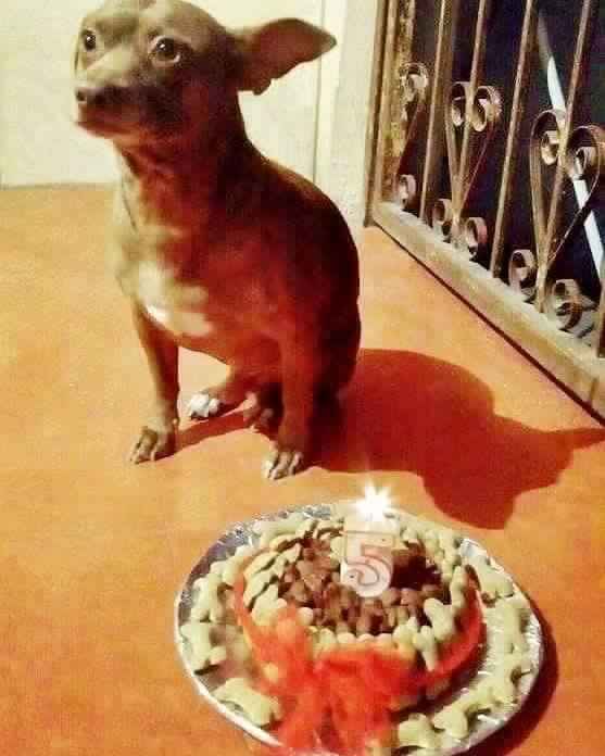 Mascota de honor? - 2