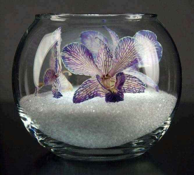  Ideas de centros de mesa con peceras. - 6