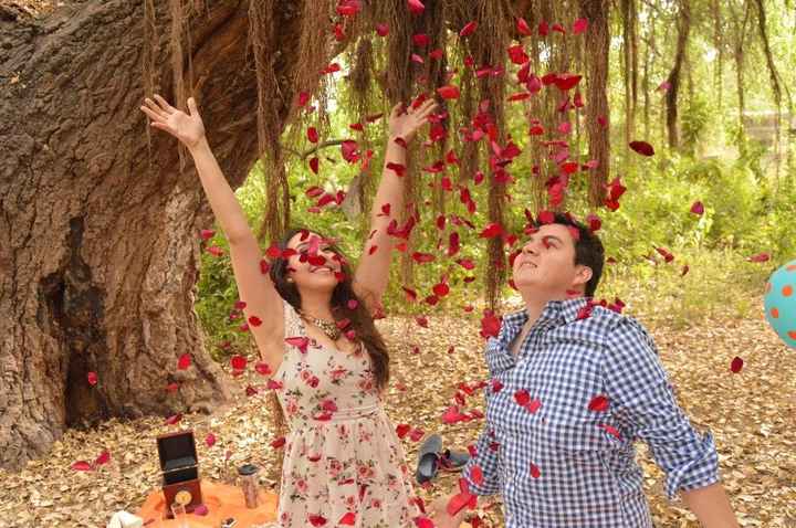 Lanzar los pétalos de rosa