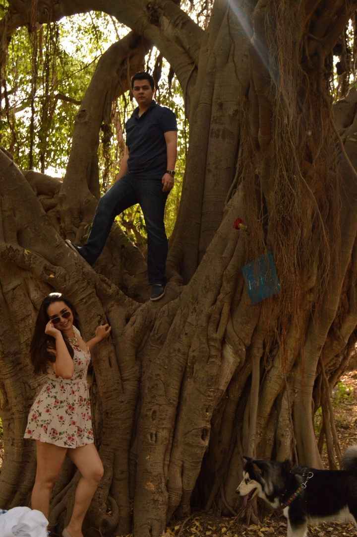 Añade accesorios a tus fotografías