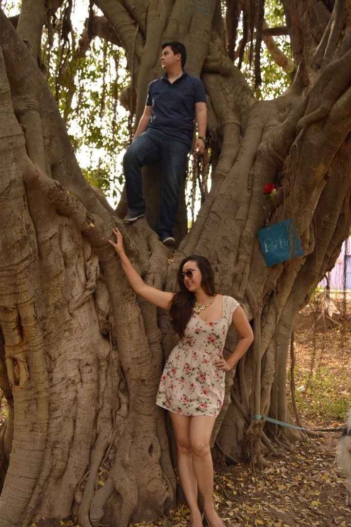 Foto en un árbol