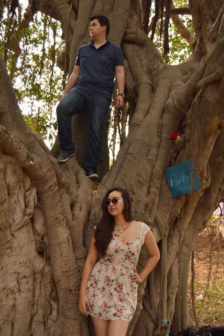 Intenta diversas poses 