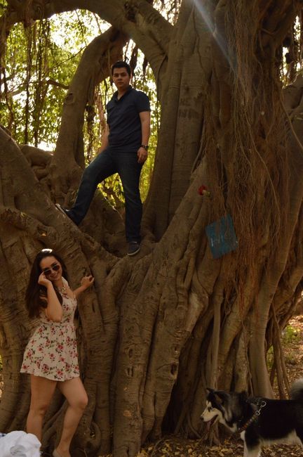 Añade accesorios a tus fotografías