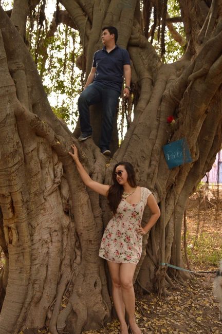 Foto en un árbol