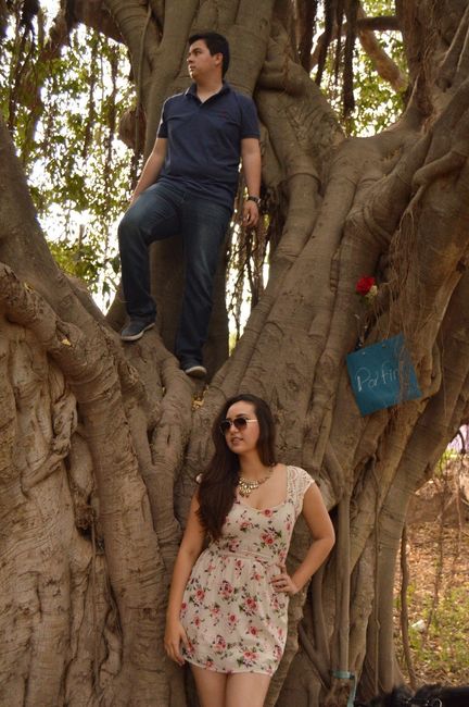 Intenta diversas poses 