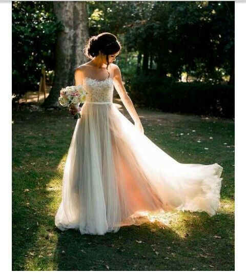  Bride tul ✨ - 1