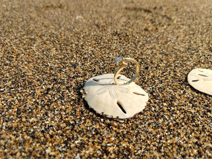 Es Martes con M de muéstrenme sus preciosos anillos!!!💍 - 3