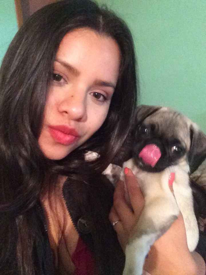 Tienen mascotas(?) - 1