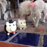 Los puerquitos para ahorrar 