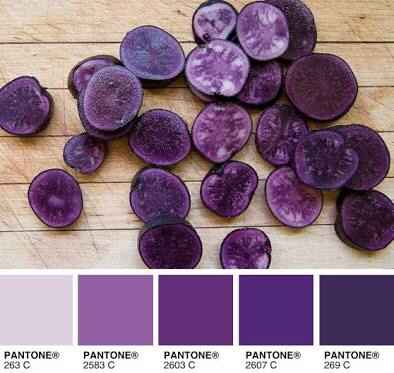 ¿lirios o no lirios? (más bien... ¿azules o no azules? - 1