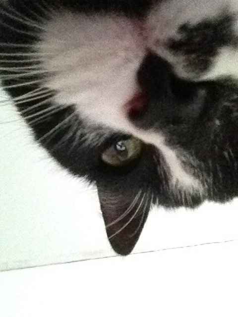 Hasta se tomó una selfie