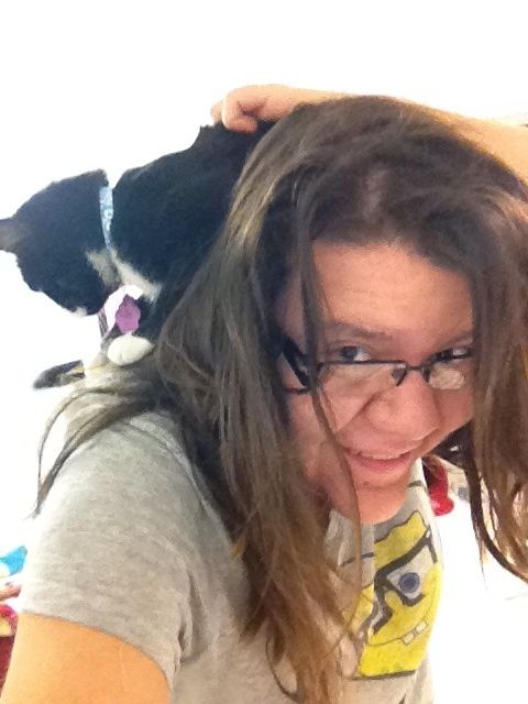 Aquí no se dejó cargar