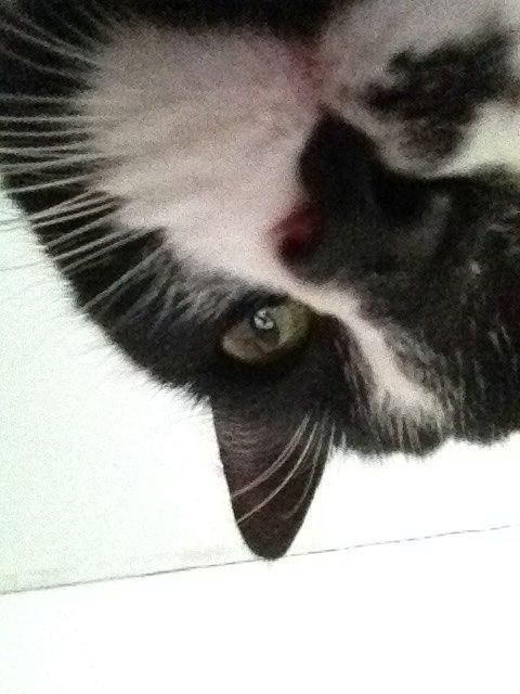 Hasta se tomó una selfie