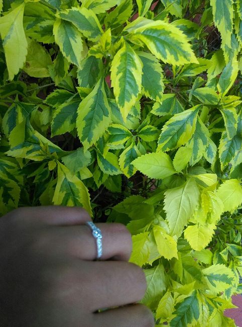 Quinta Los Soles 😍 - 3