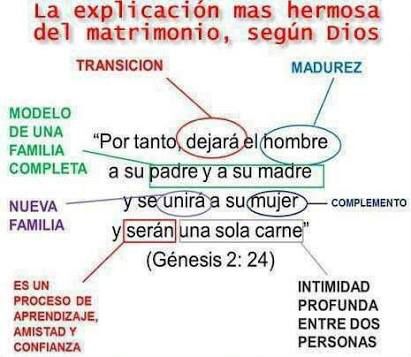 Tristeza profunda - 1