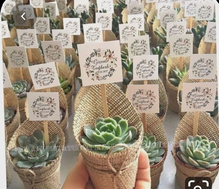 "Mis recuerdos de ensueño Carolina" 1