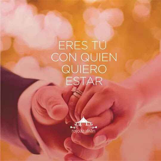 Imagen que desato todo...