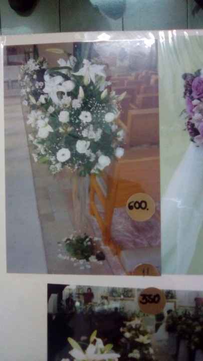 ARREGLOS ELEGIDOS, SE CAMBIARA LA BASE POR UNAS MAS ALTAS