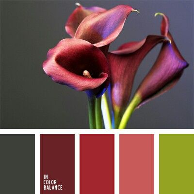 Combinación de colores vino y plata - 4