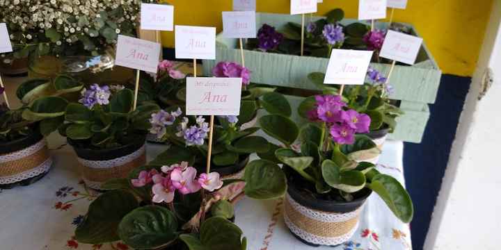 Despedida de Soltera - 4