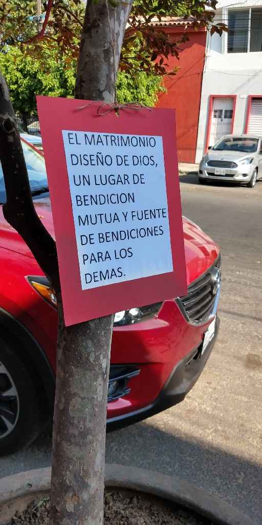 Despedida de Soltera - 8