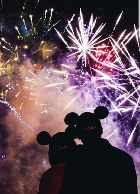 Luna de Miel en Disney, Ayuda!! - 2