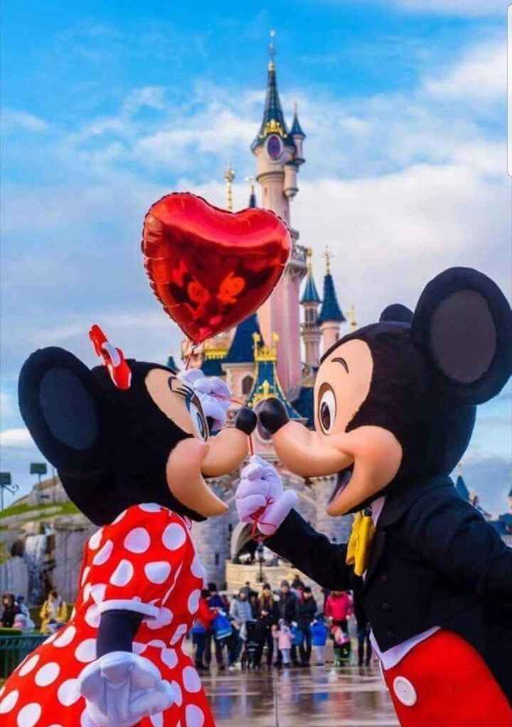 Luna de Miel en Disney, Ayuda!! - 1