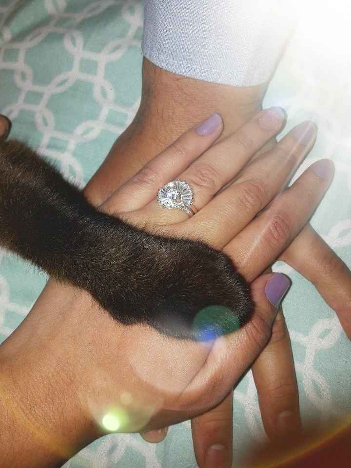  😍cuál es la foto que les gusta más de sus Anillos 👰🏻?? - 1