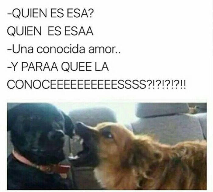 Viernes de buen humor 25