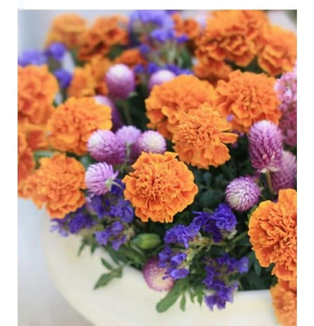Flor de cempasúchil para decorar tu boda 2