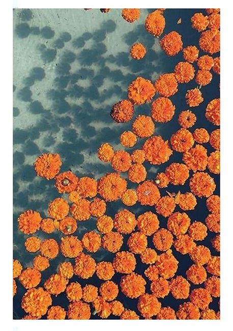Flor de cempasúchil para decorar tu boda 8