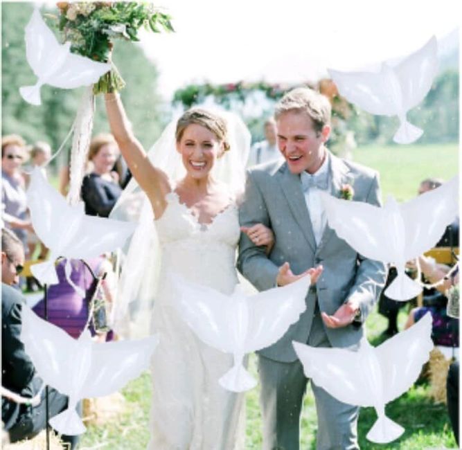 El significado de las palomas en una boda 2