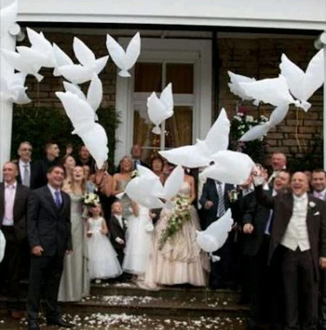 El significado de las palomas en una boda 3