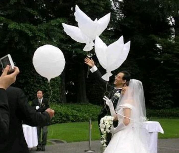 El significado de las palomas en una boda 5