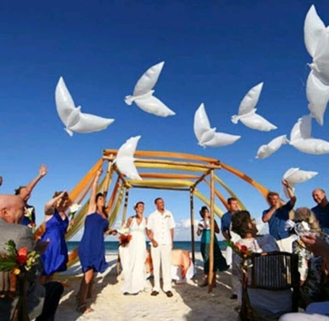 El significado de las palomas en una boda 6