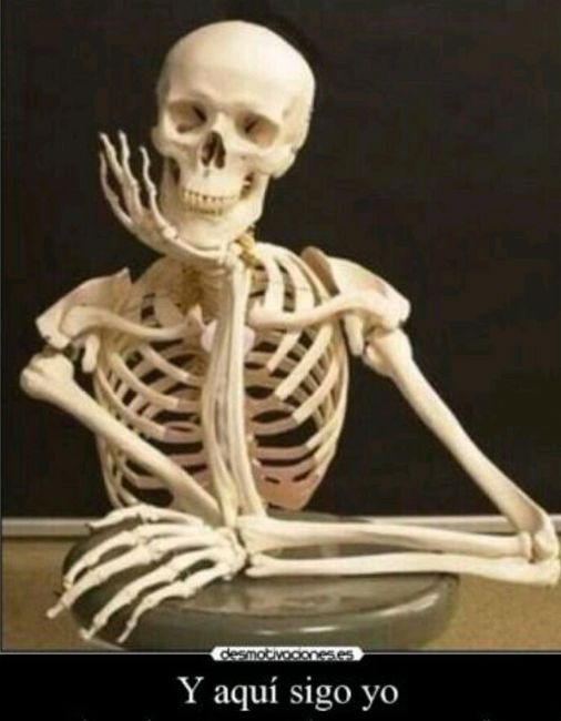 Galletitas como recuerdo de boda 🍪 35