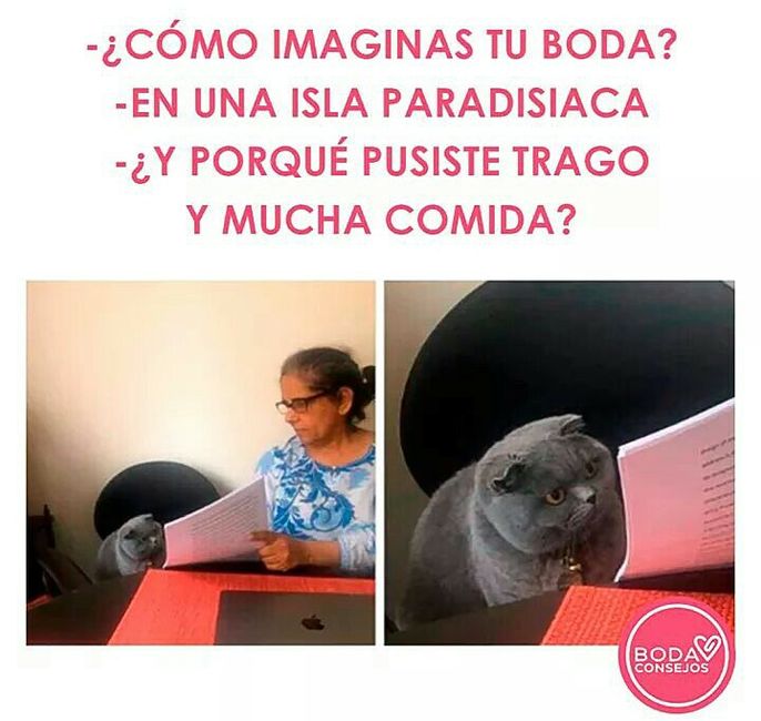 Sonrisas en lunes 😀😀😀 17