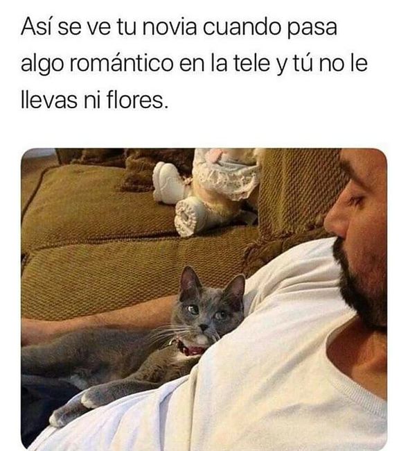 Sonrisas en martes 😁😁😁 13