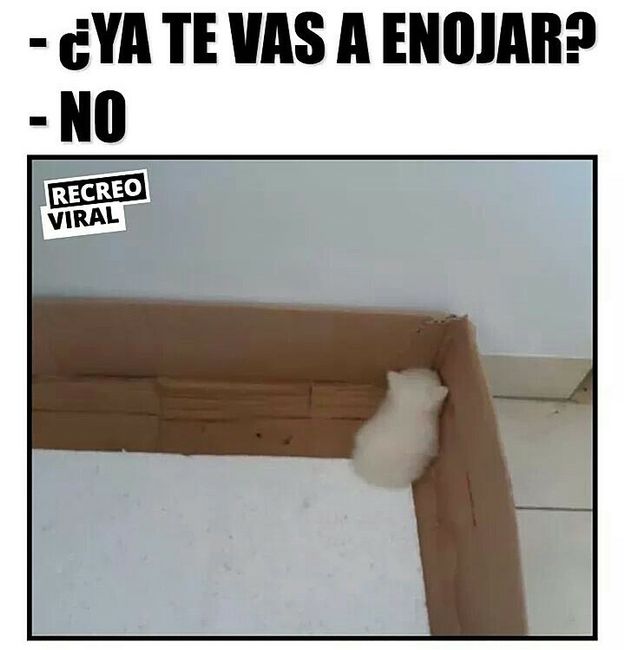 Sonrisas en miércoles 😁😁😁 3