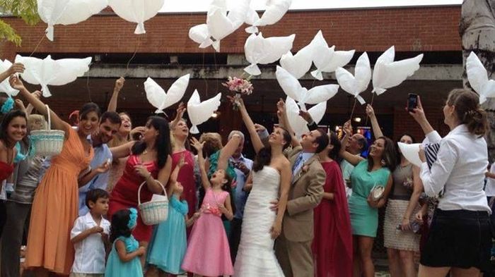 Liberar mariposas y/o palomas en la boda, ¿qué te parece? 3