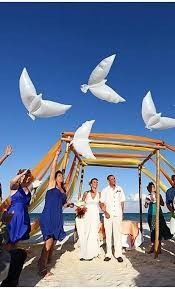 Liberar mariposas y/o palomas en la boda, ¿qué te parece? 4