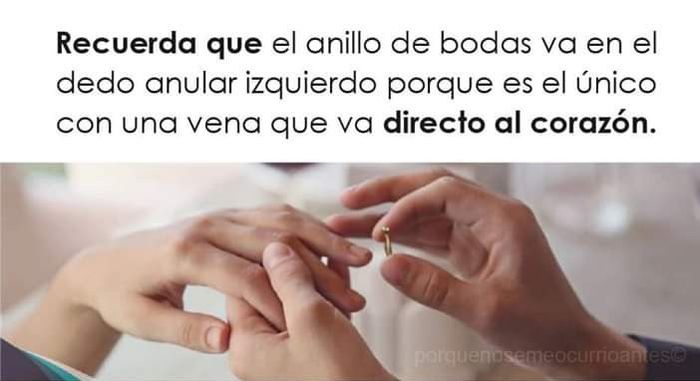 Diferentes tipos de anillos 10